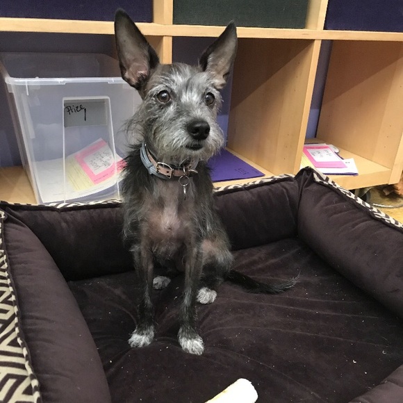 Help  my Mom pay for my broken leg! - Picture 5 of 13